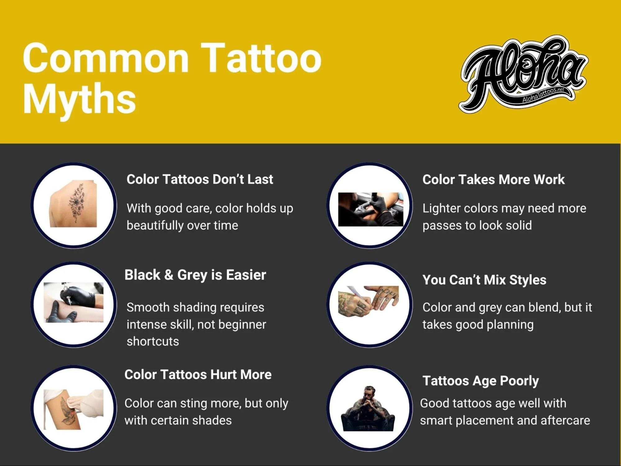 Which One Should You Get?