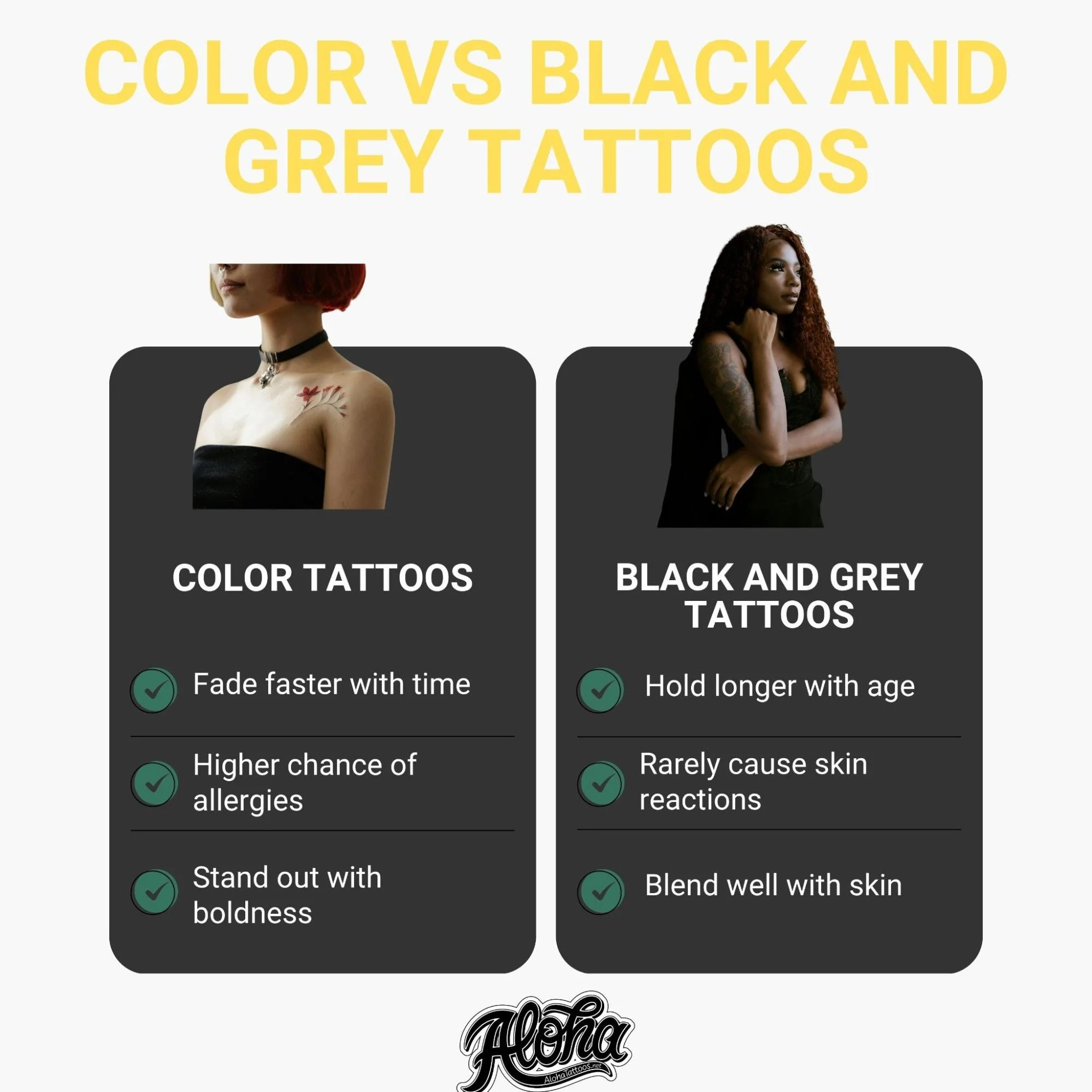 Which One Should You Get?